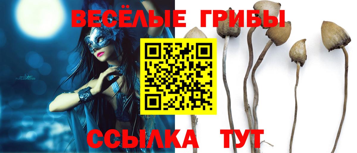 Псилоцибиновые грибы GOLDEN TEACHER Чистополь