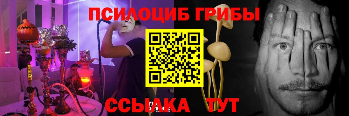 Галлюциногенные грибы Cubensis  Вход с VPN  Галлюциногенные грибы ЛСД  Чистополь 